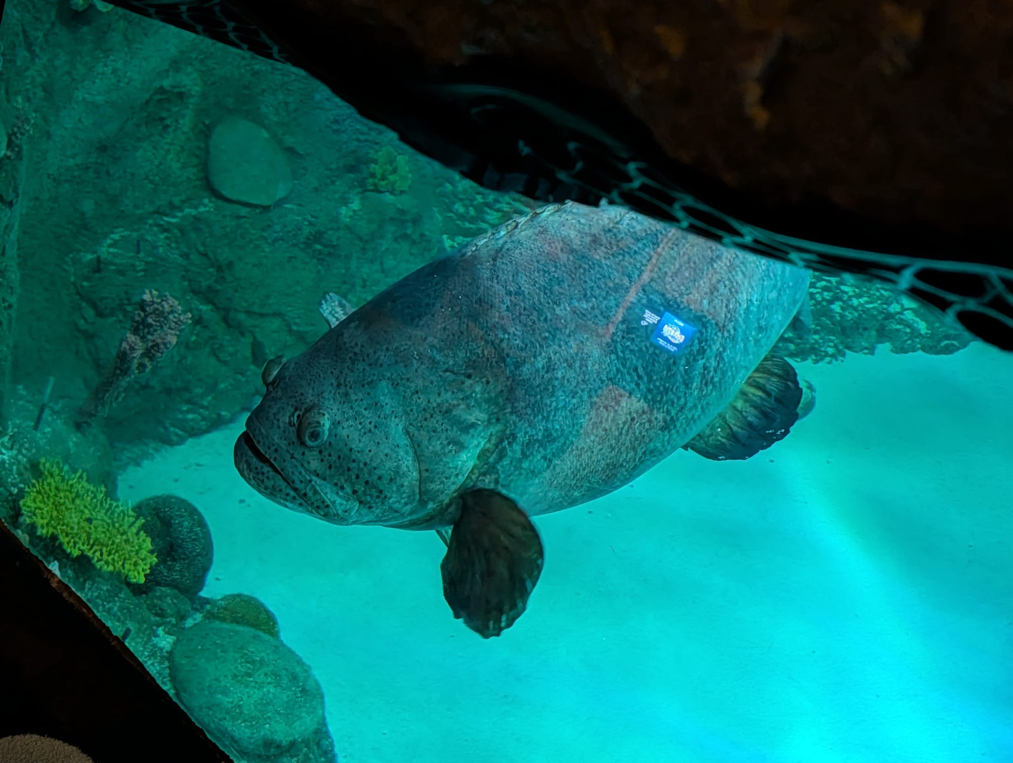 Data Work in the Fast Fashion Code Era (4 minute read)